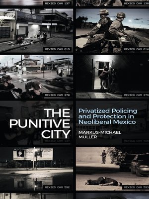 cover image of The Punitive City